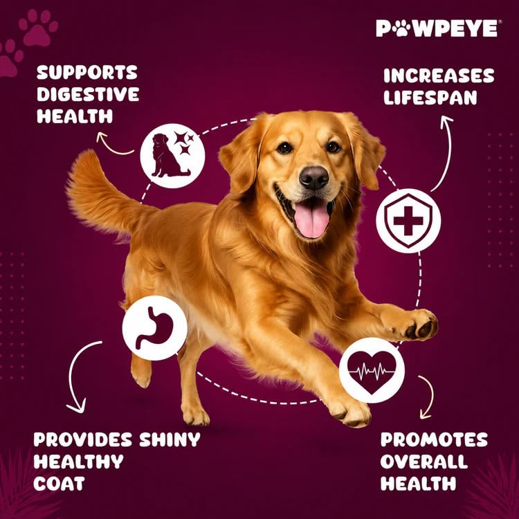 Pawpeye Wet Dog Food Trial Box | 3 x 100g (2 Flavours – Chicken & Lamb) | Gravy for Adult Dogs | Vet-Formulated, Human-Grade, Grain-Free, Preservative-Free, 100% Natural 4