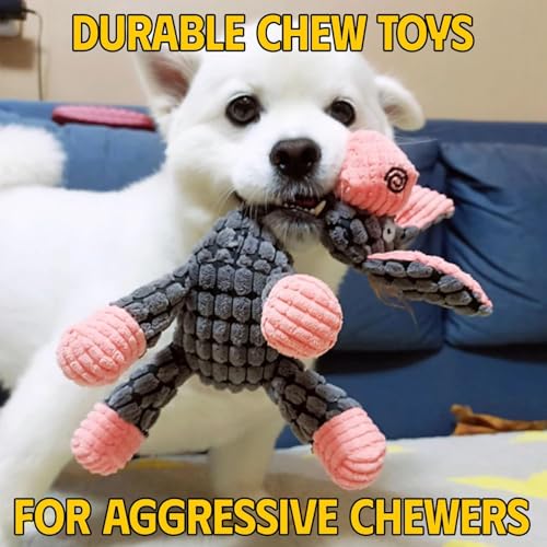 Pack 3 Juguetes Squeaker para Perros de Cuerda miniatura 2