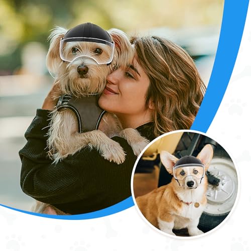 Casque de moto pour chien Namsan noir avec visière, chapeau réglable rigide 7.5-12.5 kg