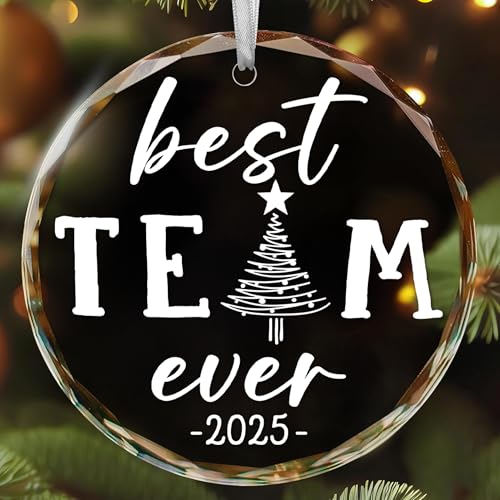Best Team Ever Ornament - Unique Christmas and Appreciation Gifts for Employees