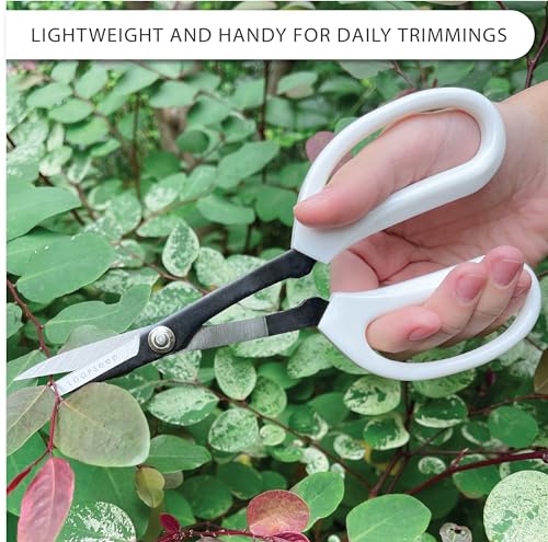 Tijeras de Precisión para Jardinería 8 pulgadas miniatura 7
