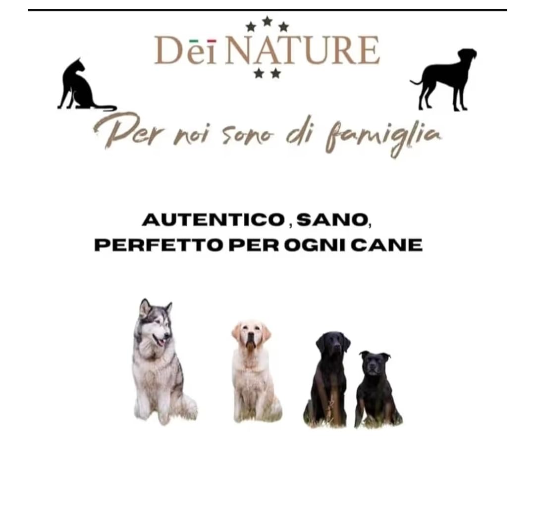 Snack di Nervo Di TORO PREMIUM 12 PEZZI DA12 CM,Diametro fino a 2 cm,dieta Barf, Nervi Selezionati 100% naturale, per salute orale e stress, lunga durata