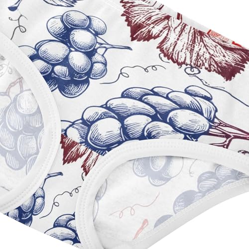 Vintage Red Blue Grape White Girls Underwear Toddlers 2t Cotton Panties for Girl Flower Kids Briefs Undies4