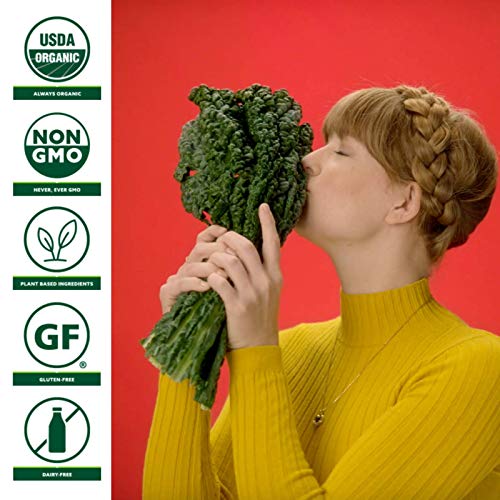 Suja Green Delight Organic & Cold Pressed Fruit And Vegetable Juice Smoothie, 12 Fl Oz Bottle #TOP3