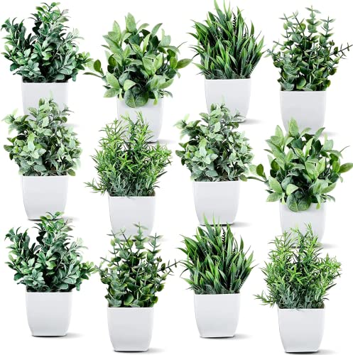 Image of Dekorly Artificial Potted Plants, Artificial Plastic Eucalyptus Plants Small Indoor Potted Houseplants, Small Faux Plants for Home Decor Bathroom Office Farmhouse (Set 0F 12)