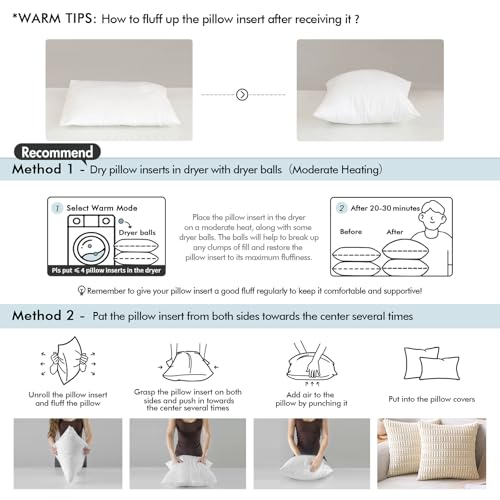 MIULEE Set of 2 Throw Pillow Inserts 20x20 Inches, 100% Virgin Filling Nonwoven Pillow Inserts for Couch Sofa Living Room