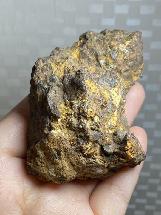 Amazon.co.jp: パラサイト隕石 253g セリコ隕石原石 Bigサイズ