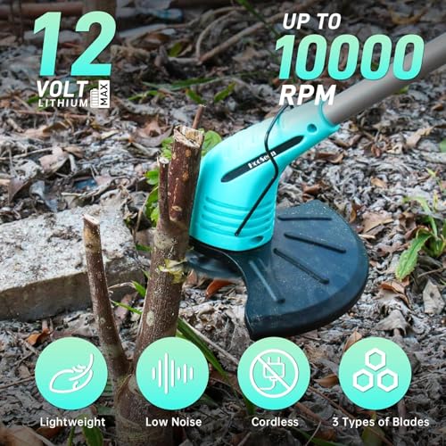 FOLIAGE for Carburetor for Briggs & Stratton for Craftsman Tiller Intek 190 6HP 206 5.5HP Engine.