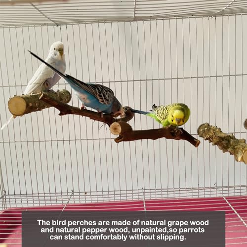 Image of 5PCS Parrot Perch Stand Natural Wooden Bird Stand Branch 3 Grape Wood Perch 2 Stand Paw Grinding Fork Parakeet Chewing Stick Exercise Training Branches for Small Birds Cockatiels