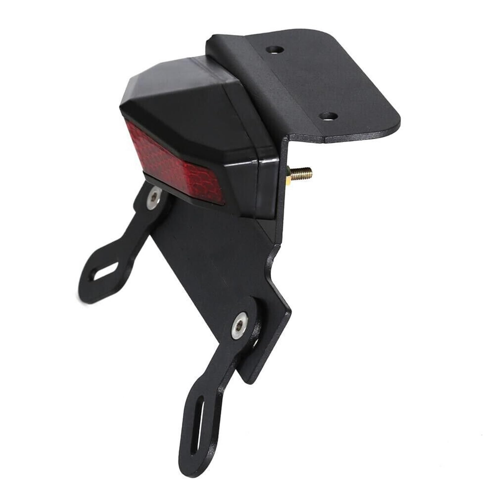 Portatarga Per Moto Con Eliminacoda E Luci Di Direzione A LED Per CRF300L E CRF 300L RALLY 2021 2022 2023 2024