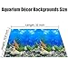 XCNO Aquarium Background Poster Water Plants 3D Coral Fish Tank Background Picture Double Sides Fish Tank Stickers 10 20 Gallon Tank 16