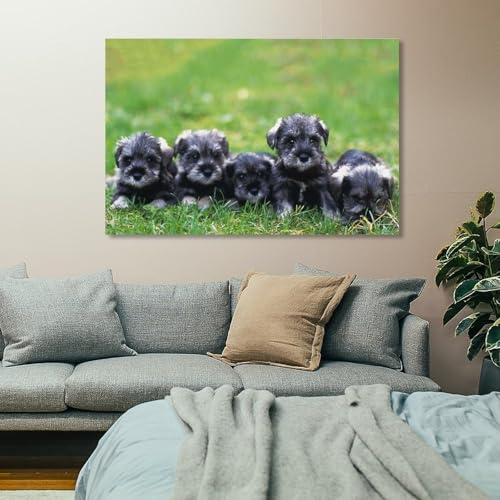 Schnauzer poster déco 40x60 impression sur toile salon et chambre à coucher - 7