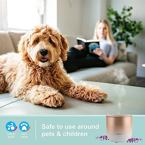 Sparoom Vela Essential Oil Diffuser, 150 Ml With 3 Light Modes And Usb Adapter (Rose Gold) #TOP5