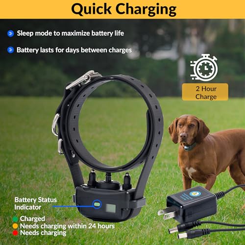 Training with BarkLess Pro Collar and Finger Clicker