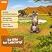 Schleich Meerkat 14935
