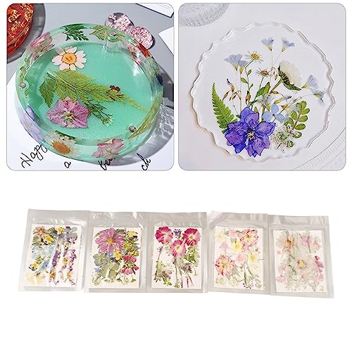 Kit de flores prensadas 5 bolsas 100 piezas para manualidades miniatura 7