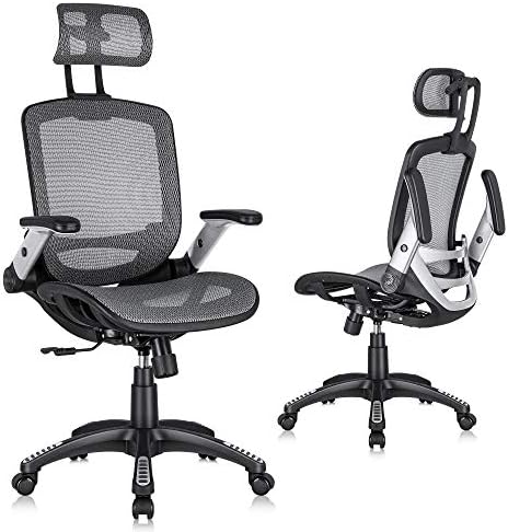 GABRYLLY Ergonomic Mesh Office Chair, High Back Desk Chair - Adjustable Headrest with Flip-Up Arms, Tilt Function, Lumbar Support and PU Wheels, Swivel Computer Task Chair, Grey