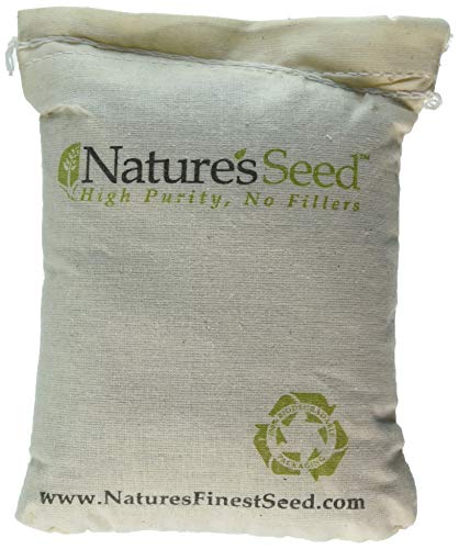 Nature's Seed Southwest Desert Honey Bee Pasture Blend, 1000 sq. ft