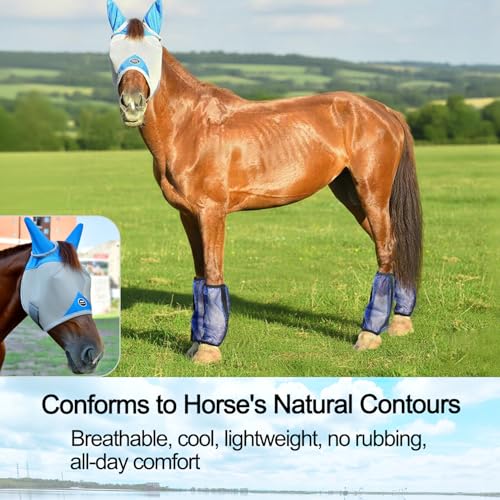 Fornyk Horse Fly Mask, Adjustable Fly Masks for Horses with Ears, Breathable and 70% UV Protection, Comfort Mesh Without Nose Cover, Horses Accessories (Grey, Blue, Medium) by Fornyk - Image 5