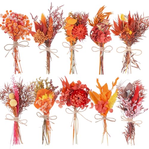 10 Pack Fall Decor Dried Flowers Bouquets Burnt Orange Flowers with Stems Natural Dried Flowers for Small Vase Fall Decorations for Home Floral Arrangement for Autumn Harvest Thanksgiving Table Decor