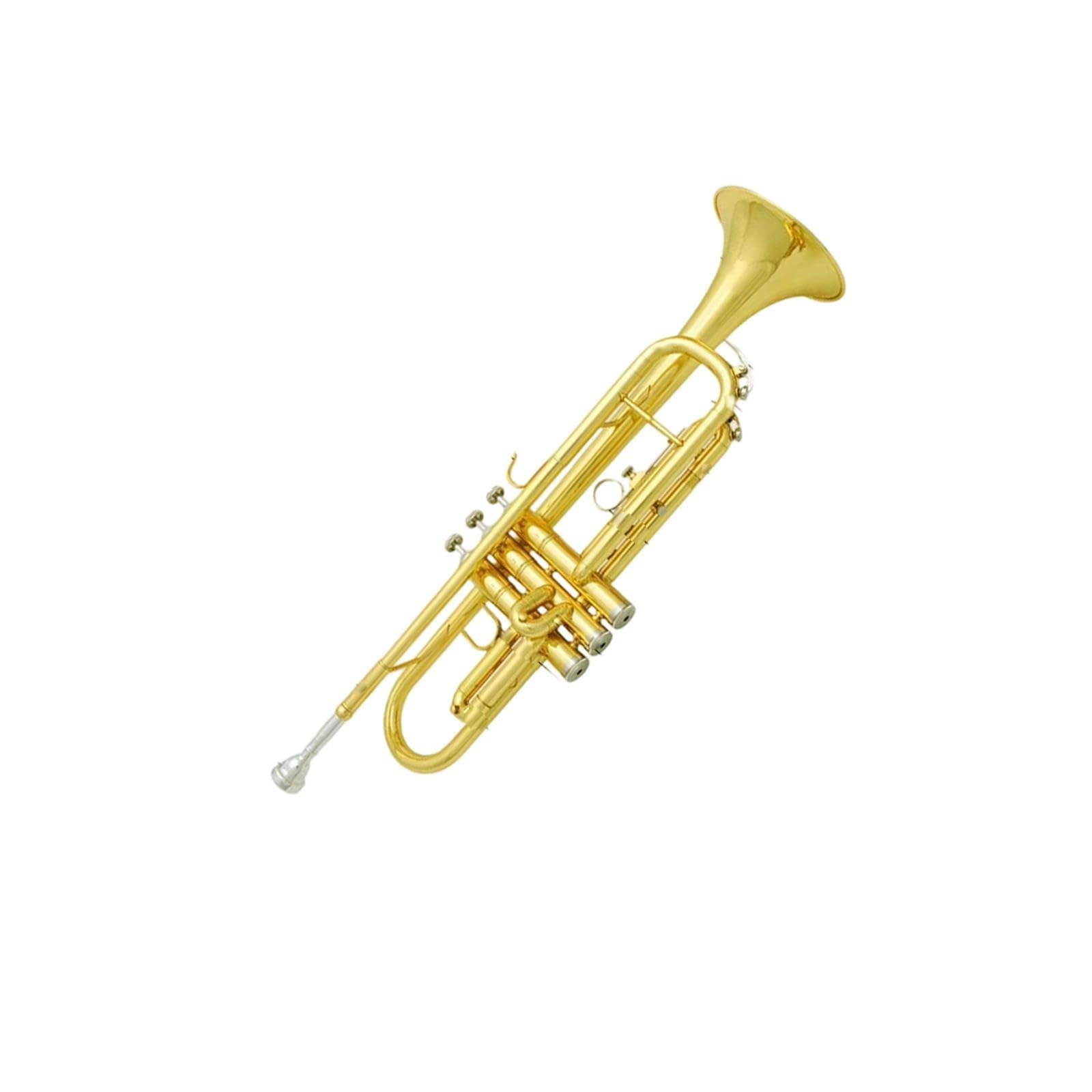 Adult Trumpet Trompette en si bémol pour débutant
