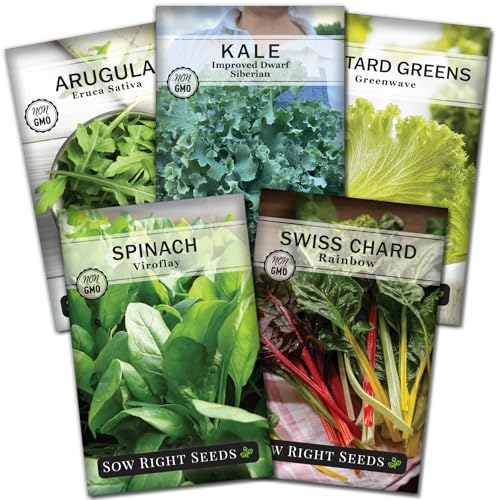 Sow Right Seeds - Power Greens Seed Collection for Planting - Spinach Arugula Kale Mustard Greens and Rainbow Swiss Chard - Non-GMO Heirloom Seeds to Plant and Grow a Home Vegetable Garden