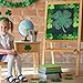 Lucleag 36 Feet St. Patrick’s Day Bulletin Board Border Roll, 5 Color Green Shamrock Bulletin Border Clover Borders for St. Patricks Day Irish Party Classroom Office Bulletins Board Decor