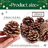 SBYURE 20 Pack 2.4 Inch Pinecones Bulk Package of Natural Pinecones Pine Cones for Crafts Home Decor Vase Filler #1