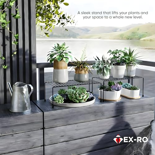 Image of TEX-RO Kitchen Shelf Organizer | Cabinet Shelf Riser for Storage | Cupboard Organizer Rack for Kitchen | Under Cabinet Storage for Plates, Bowls, Spices - Metal Wire Rack, Pack of 2