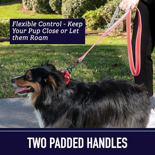 Double Handle Reflective Dog Leash for Large Dogs - Aqua