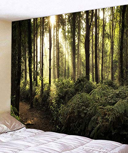 Tapisserie polyester imperméable pour habiller et protéger un grand mur