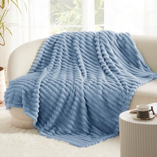 Couverture moelleuse Bedsure grand plaid canapé bleu ciel