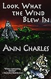 Look What the Wind Blew In (A Dig Site Mystery) (Volume 1)