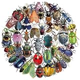 50PCS Cartoon Insects Stickers Aesthetic PET Transparent Insect Decal Waterproof Decorative Decals for Scrapbook DIY Crafts Album Bullet Journal Planner Water Bottles Laptop Phone (Insect)