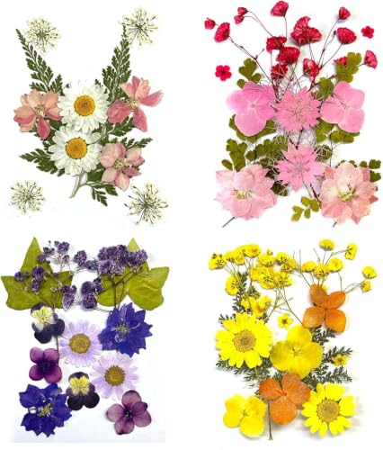 60 Pcs Pressed Dried Flowers 4 Packs Colorful Dried Pressed Flowers for Crafts Real Dried Pressed Flowers with Butterfly Transparent Stickers Set for DIY Jewelry Making Nail Card Scrapbook Art Craft