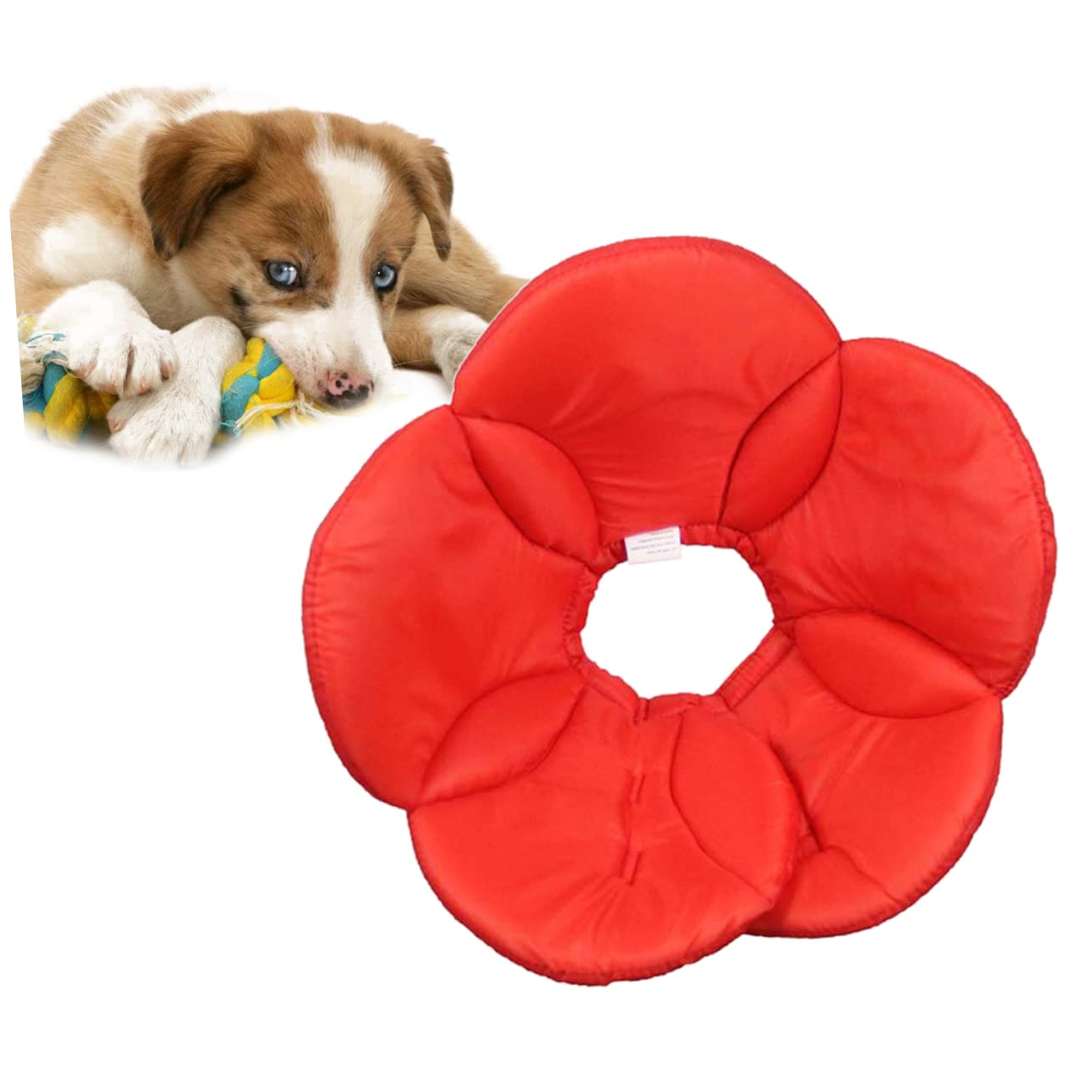 Kisangel 3 Piezas Collar de Mascota de Flor de Esponja - Collar - Collar Anti-mordeduras Collares para Mascotas Accesorios para Mascotas Collar Anti-mordeduras para Perros Rojo