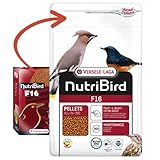 comprar comida para pajaros insectivoros  Versele-laga - Pienso de Mantenimiento para pájaros insectívoros y frugívoros NUTRIBIRD F16 VERLELE LAGA 1 KG