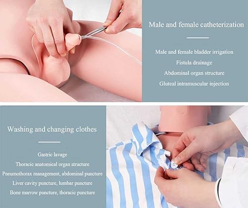 Miniatura 3 de GHDE&MD Maniquí de entrenamiento de 63.0 in con genitales intercambiables para enfermería, entrenamiento médico, enseñanza, suministros médicos