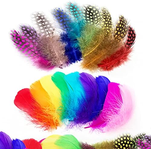 Audamp Craft Feathers 300pcs Colorful Feathers for Craft DIY Wedding Home Party Decorations