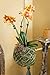 SuperMoss Super Moss 759834904304 Planter Plant Hanger Basket Liner, The Original