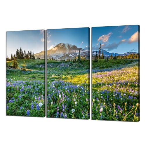 Mount Rainier National Park Canvas Wall Art Reflection Lake Trail Sumeer Wall Decor Picture Print Washington Poster Painting Frame Office Home Living Room Bedroom Decoration(36''Wx24''H)