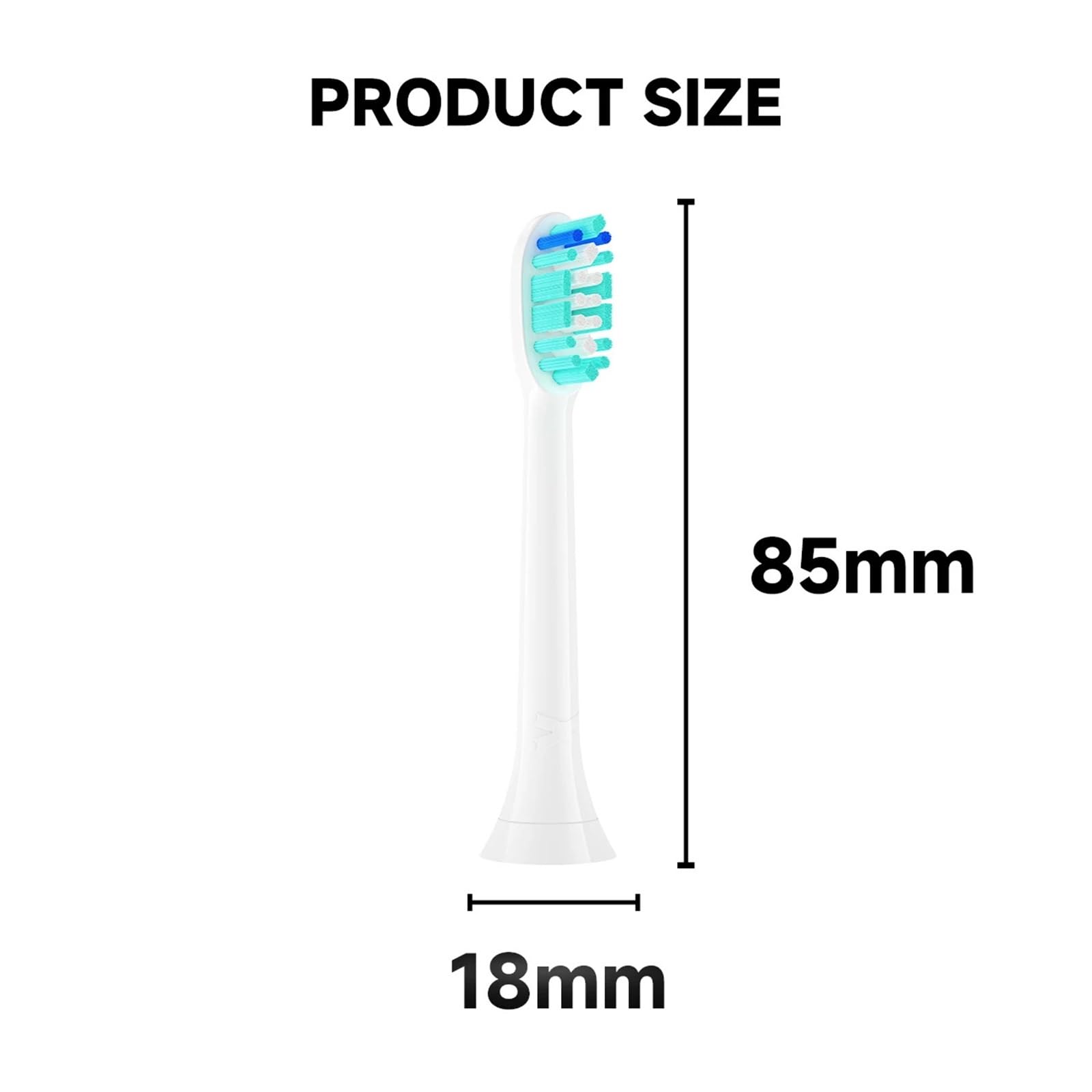 12 cabezales adultos, compatible con Philips | Cabezales de cepillo dental de plástico para reemplazo diario y cuidado bucal habitual(20HB90B)