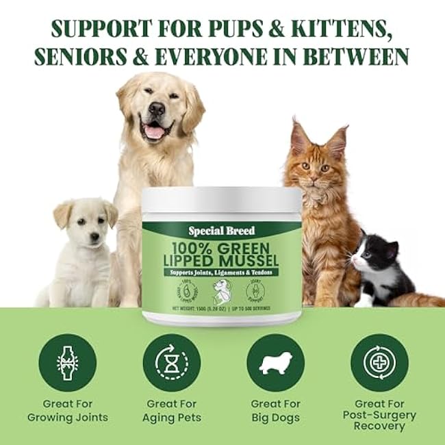 Green Lipped Mussel Powder for Dogs & Cats - 100% New Zealand Green Lipped Mussels - Natural Hip & Joint Supplement for Joints, Tendons, Ligaments, Muscles - 150 Grams - Up to 500 Servings-PAREOw8y