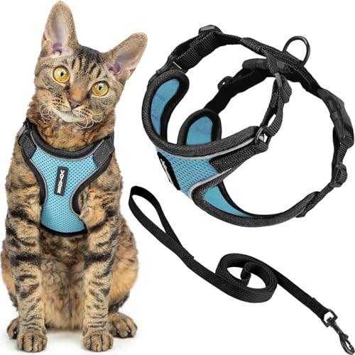Image of Voyager Escape-Proof Step-in Lock Cat Harness & 5ft Neoprene-Handle Leash Set All-Weather Mesh with Reflective Stitching for Small to Large Cats by Best Pet Supplies, Black Trim-Baby Blue (327), XXXS