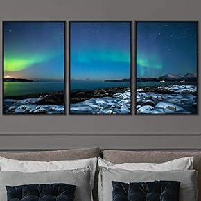 signwin 3 Piece Framed Canvas Wall Art Astronomy...