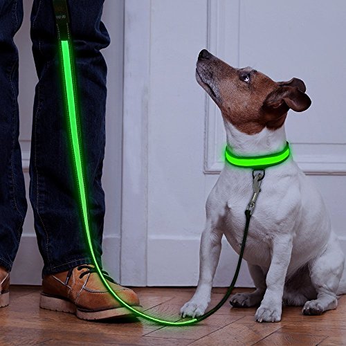 HIGO LED Dog Leash, USB Rechargeable Reflective Glowing Pet Leash, Reflective Light Up Dog Lead with Neoprene Padding Makes Your Pets Visible& Safe for Night Dog Walking (Green2, Led(47 inch))