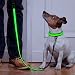 Higo LED Dog Leash - USB Rechargeable - Glow in the Dark - Makes Your Pets Be Seen& Be Safe When Night Walking (120cm, Green)