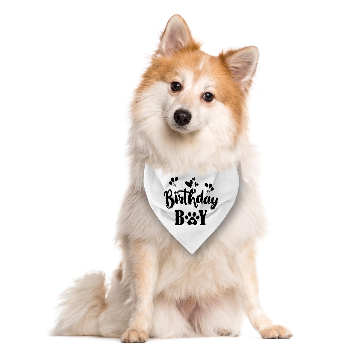 Bandana blanc pour chien d'anniversaire, bandana amusant et mignon pour chien, écharpe triangulaire pour animal de compagnie, accessoire pour amoureux des chiens, bandana pour chiens de petite,