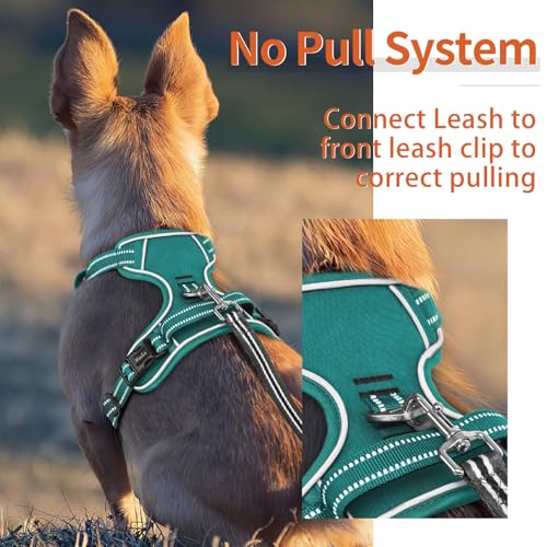 Image of HEELE Dog Harness for Large Dogs No Pull Dog Vest Harness for Large Dog with Soft Padded Handle Reflective for Outdoor Training, Grass Green, XL