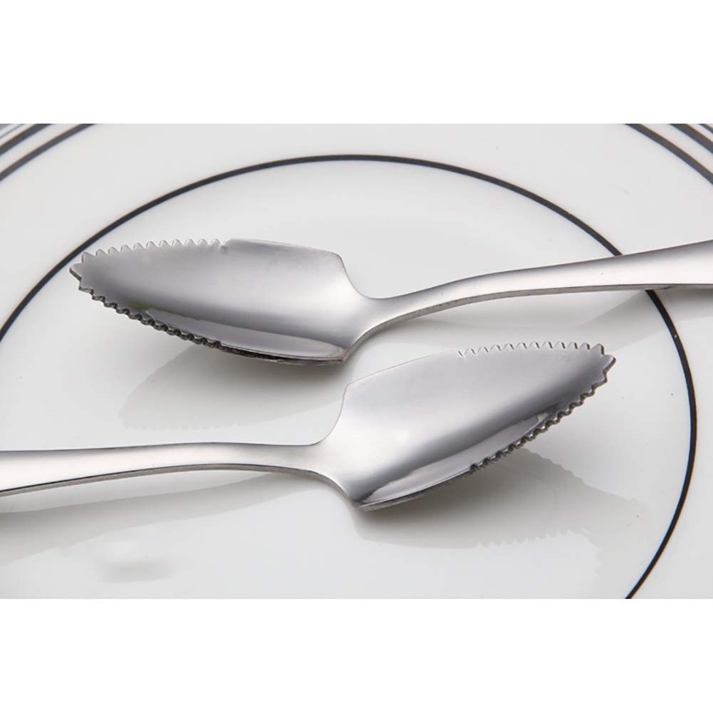 DJKET 2 Pcs Cuillère En Acier Inoxydable Argentée Avec Dents Dentelées Cuillère à Pamplemousse Coupe-Fruits Cuillère Demi-Dentelée Pomme Kiwi Papaye Orange